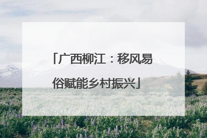 广西柳江：移风易俗赋能乡村振兴